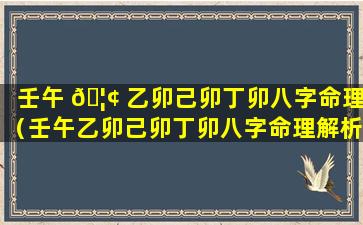 壬午 🦢 乙卯己卯丁卯八字命理（壬午乙卯己卯丁卯八字命理解析）